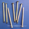 Wholesale high quality common nails,iron nail factory